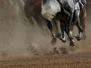 The Dubai World Cup breaks broadcast record with 30th edition of Dubai World Cup 