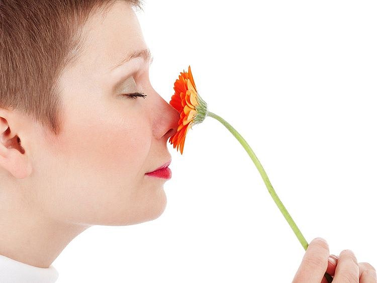 nose flower smell