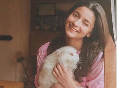 
Bollywood shows love for pets amidst COVID-19 scare
