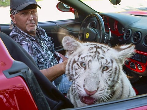 Tiger King