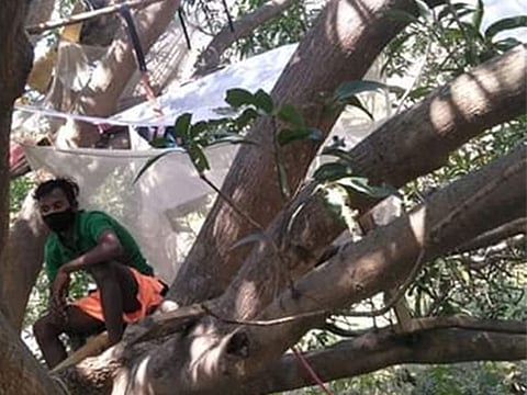 These makeshift camps on tree are otherwise, used by villagers in Purulia to observe elephant movement and to safeguard themselves from elephant attacks.
