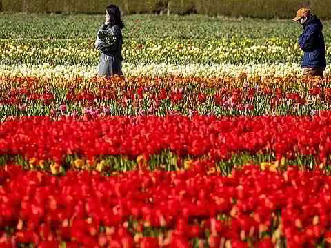 COVID-19 in Pictures: Social distancing around the world 