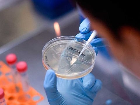 A researcher works on the development of a vaccine against the new coronavirus COVID-19, in Belo Horizonte, state of Minas Gerais, Brazil, on March 26, 2020.