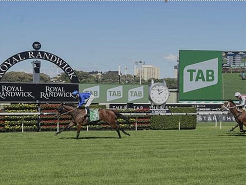  Colette wins the Group 3 Knox Stakes at Royal Randwick 