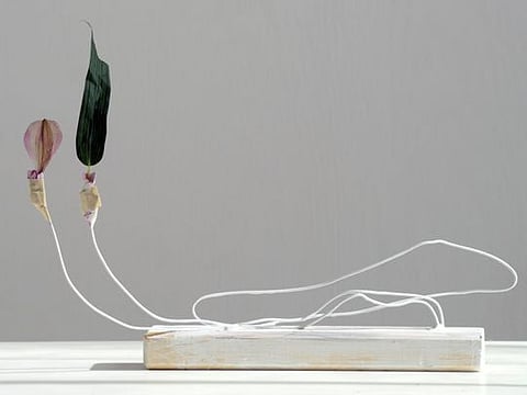 Bouquet of art: Galleries use flower power
