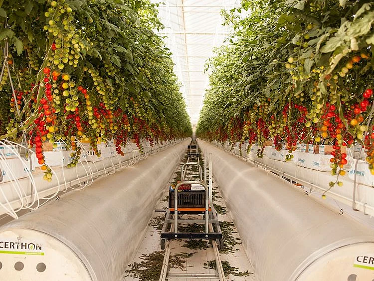 Pure Harvest farm
