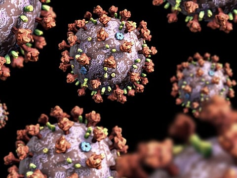 Coronavirus. Photo for illustrative purposes