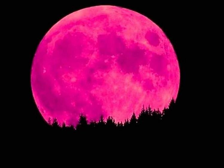 Super pink moon