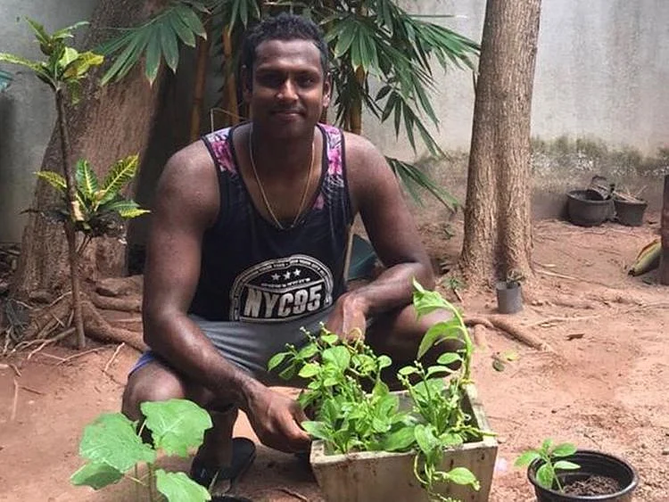Sri Lanka cricketer Angelo Mathews planting trees
