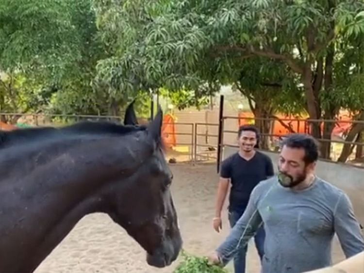 A screengrab from Salman Khan's Instagram video during coronavirus lockdown.