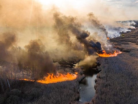 This picture taken on April 10, 2020, shows a field fire burning at a 30km Chernobyl exclusion zone, not far from the nuclear power plant. 
