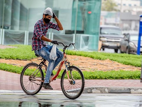 Look: It is raining across the UAE