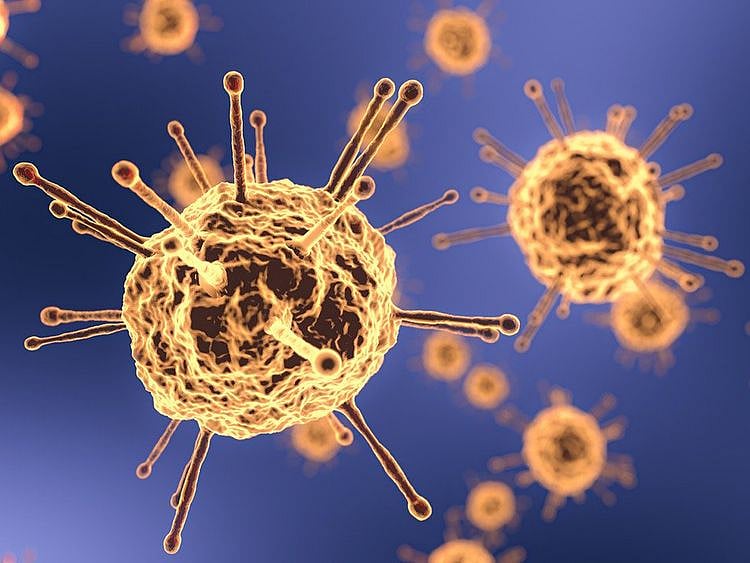 Coronavirus generic