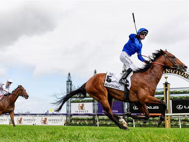 Bivouac, winner of the Group 1 Golden Rose and the Newmarket Handicap, takes on a classy field in the Group 1 All-Aged Stakes at Randwick racecourse in Australia