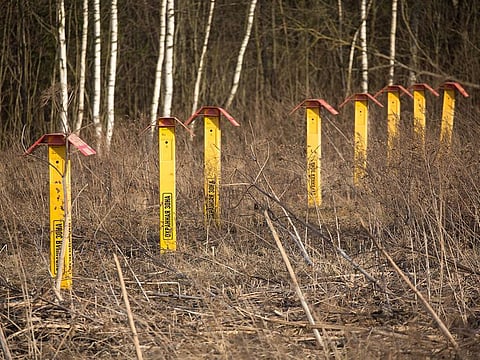 Season of plenty for oil... Opec's production cuts will come into effect from next month. But it will be tough task for these cuts to make a dent in a global economy awash in crude supply. Pictured here are marker points for the Transneft pipeline in Russia.