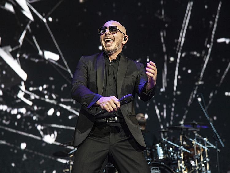 TAB 200418 Pitbull-1587190773476