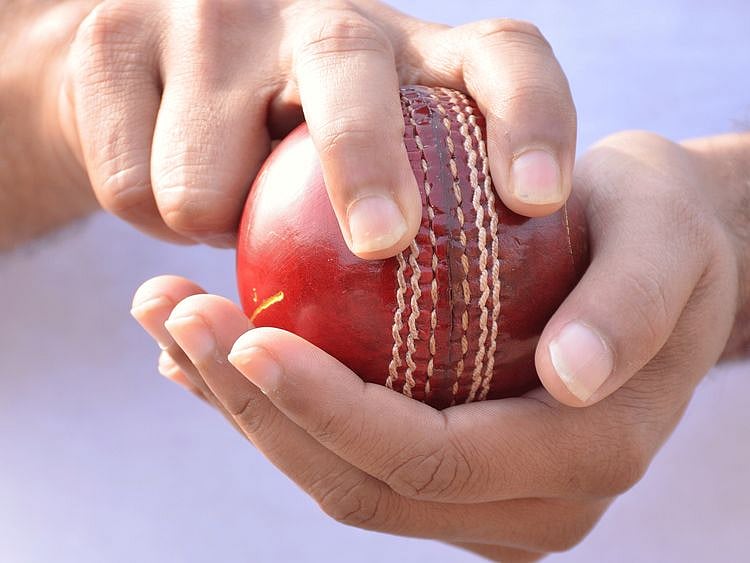 Cricket