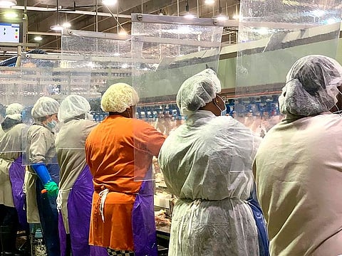 Workers wear protective masks and stand between plastic dividers at the Tyson Foods Camilla, Georgia poultry processing plant. 