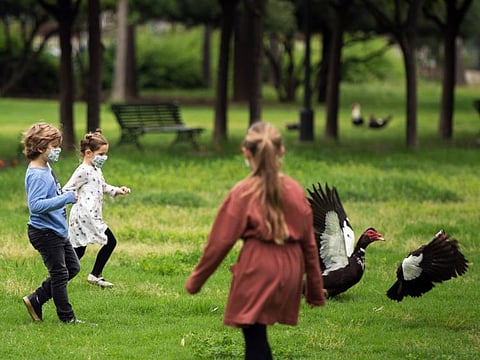Children wearing face masks, play chasing Muscovy ducks (Cairina moschata) in a park in Seville on April 26.