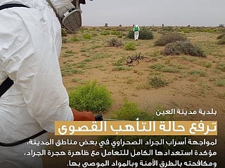 Watch: Al Ain on maximum alert to confront locust swarms