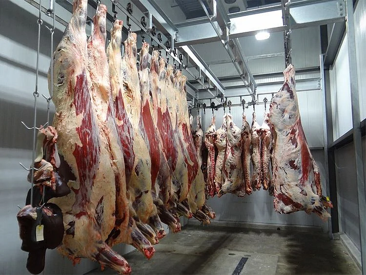 slaughterhouse