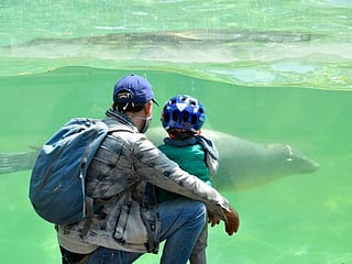COVID-19: Berlin Zoo offers a 'sense of normalcy' to city residents