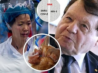 COVID-19 origin: Virus shrouded in mystery, here’s why