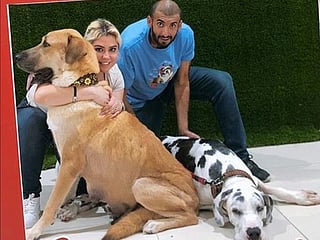 Coronavirus: Why are more UAE residents adopting dogs these days?