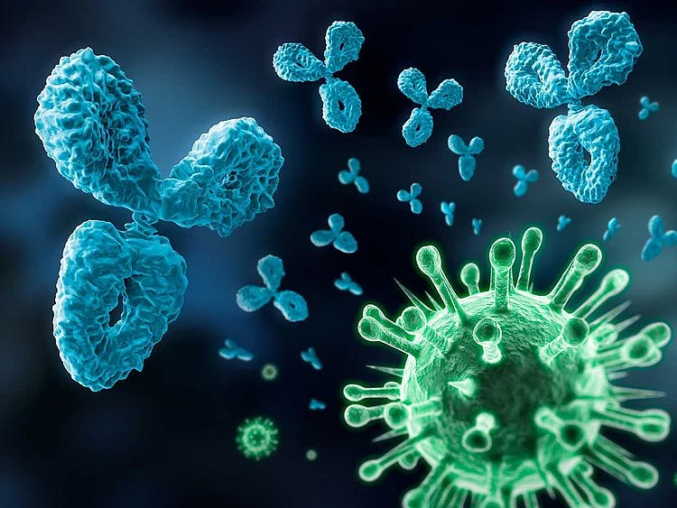 antibody coronavirus generic
