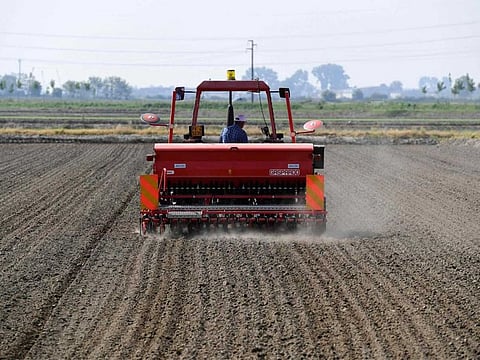 Minister of Water and Irrigation Mohammed Abdul Atti has ordered irrigation inspectors to crack down on unlawful cultivation of rice and to immediately levy fines on violators for wasting water.