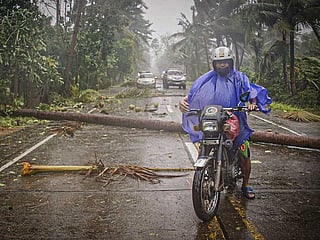 First pictures: Typhoon Vongfong wreaks havoc in the Philippines