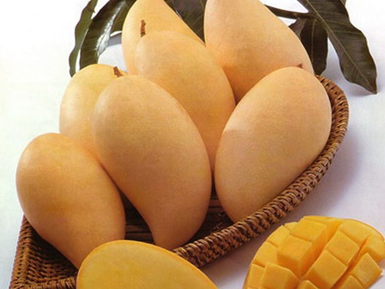 Mango