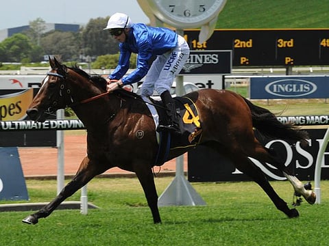 Godolphin's Trekking