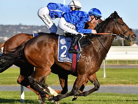 John Allen leads Trekking to victory in The Goodwood in Australia