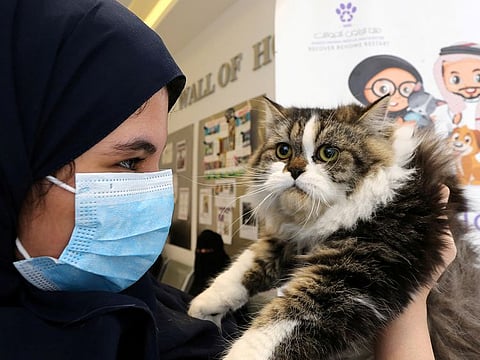 People who refuse to be checked for temperature when entering public or private sectors buildings will also be fined 1,000 riyals.