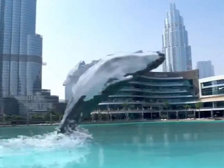 Dubai Mall whale