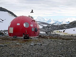 Climate change is turning Antarctica green: Study