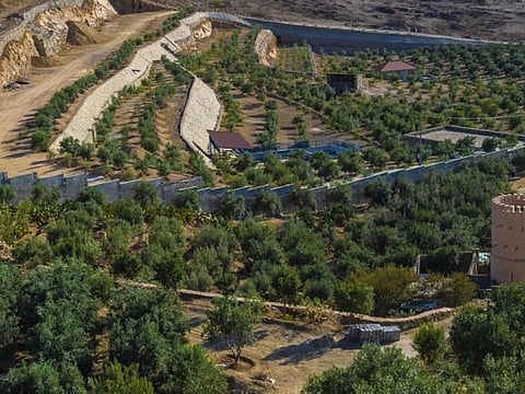 First terrace farm in Saudi Arabia's 'Greenland'. The Zaytouna Farm uses traditional agricultural terrace, as the 100 terraces, common along the Sarawat Mountains, were set up.
