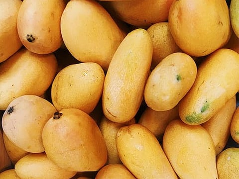 Photo for illustrative purposes