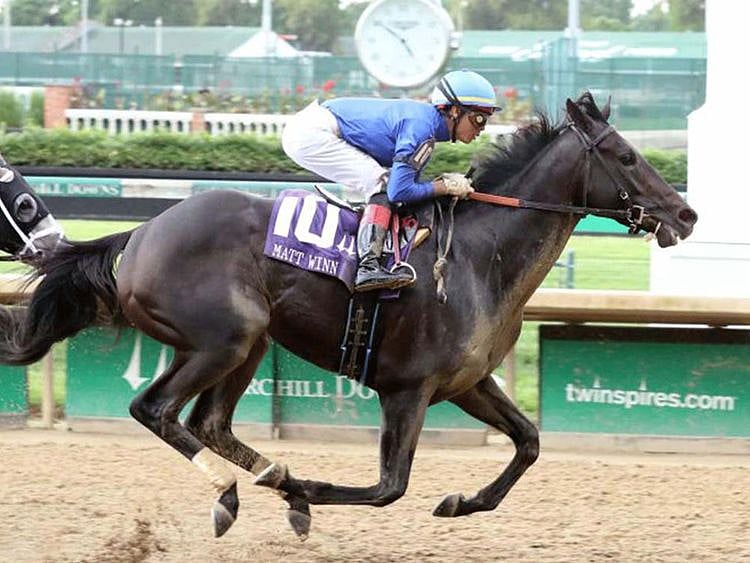 Horseracing