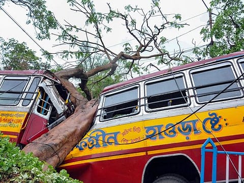 Mangled remains of a bus after a tree fell on it during cyclone Amphan, in Kolkata last Thursday.