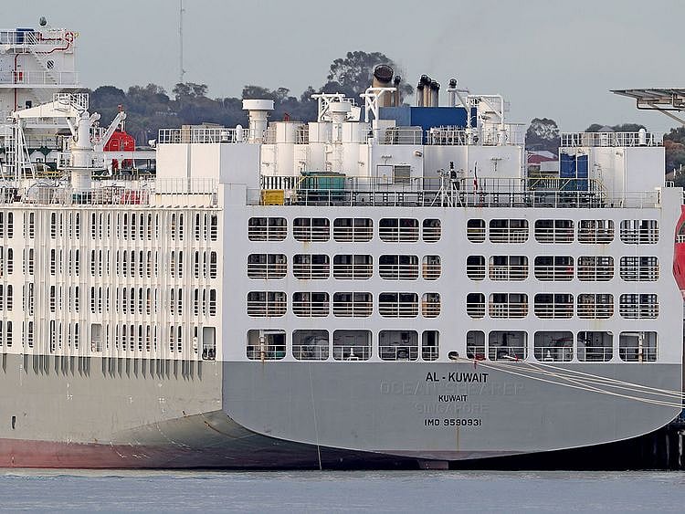 20200526_Kuwait_livestock_ship