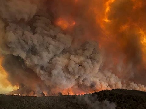 A bushfire rages in Australia. The country's unprecedented bushfire crisis has scorched an area larger than most nations and displaced thousands.