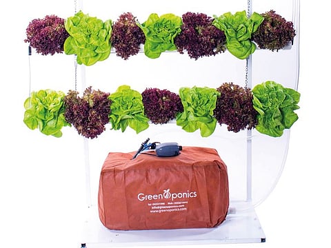 Hanging hydroponic system from Greenoponics