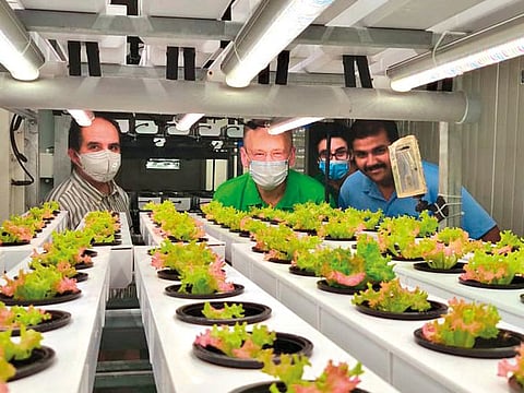 VeggiTech’s vertical hydroponic farm with LED grow lights 
