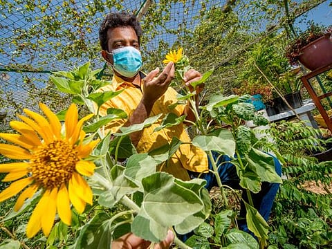 Praveen Kottavathil in his garden 