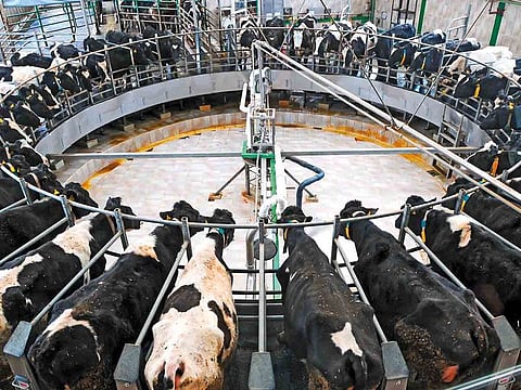 A milk collection facility in the US