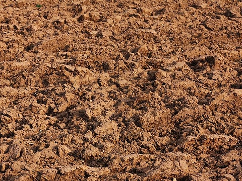 Police said Subhashini's seven-year-old daughter informed them that "Swamulu dug a pit nearby, and buried Subhashini when she was still alive.