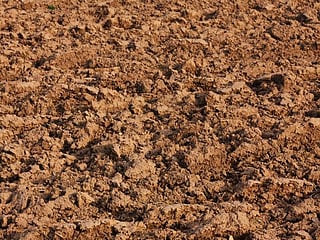 India: Man knocks wife unconscious, buries her alive 