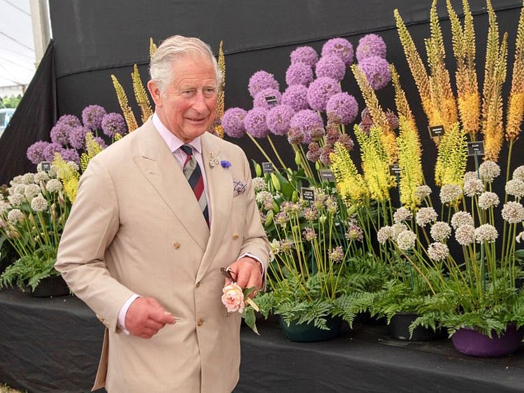TAB 200605 Prince Charles-1591352412543